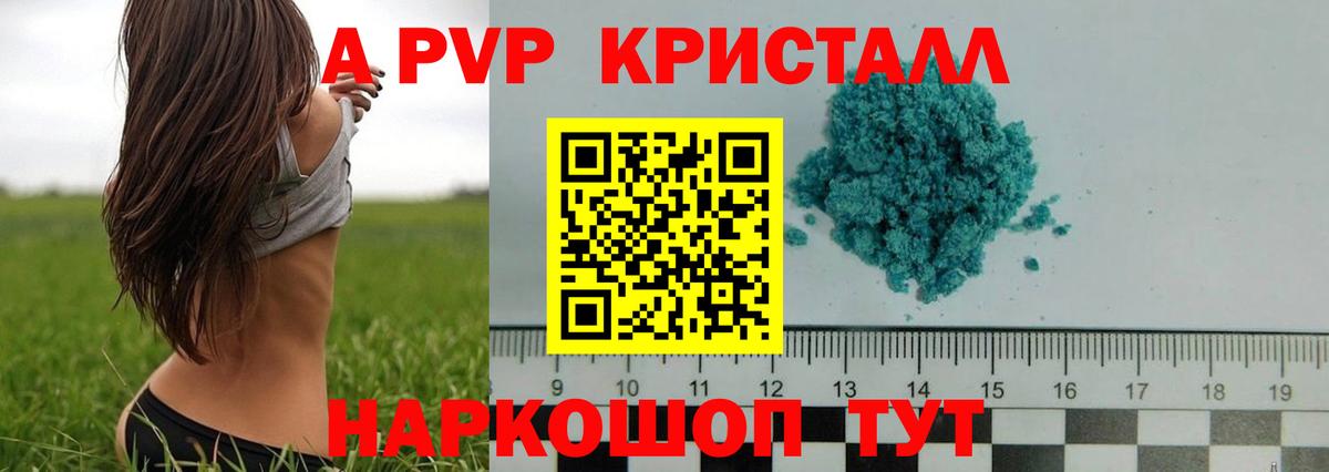 Гусев  А ПВП  Вход с VPN  APVP крисы CK  Alfa_PVP крисы CK 