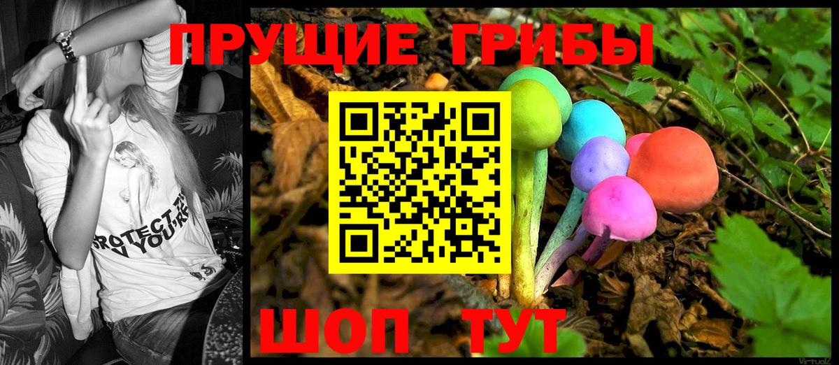 Галлюциногенные грибы мухоморы  Вход с VPN  Галлюциногенные грибы Psilocybe  Гусев 