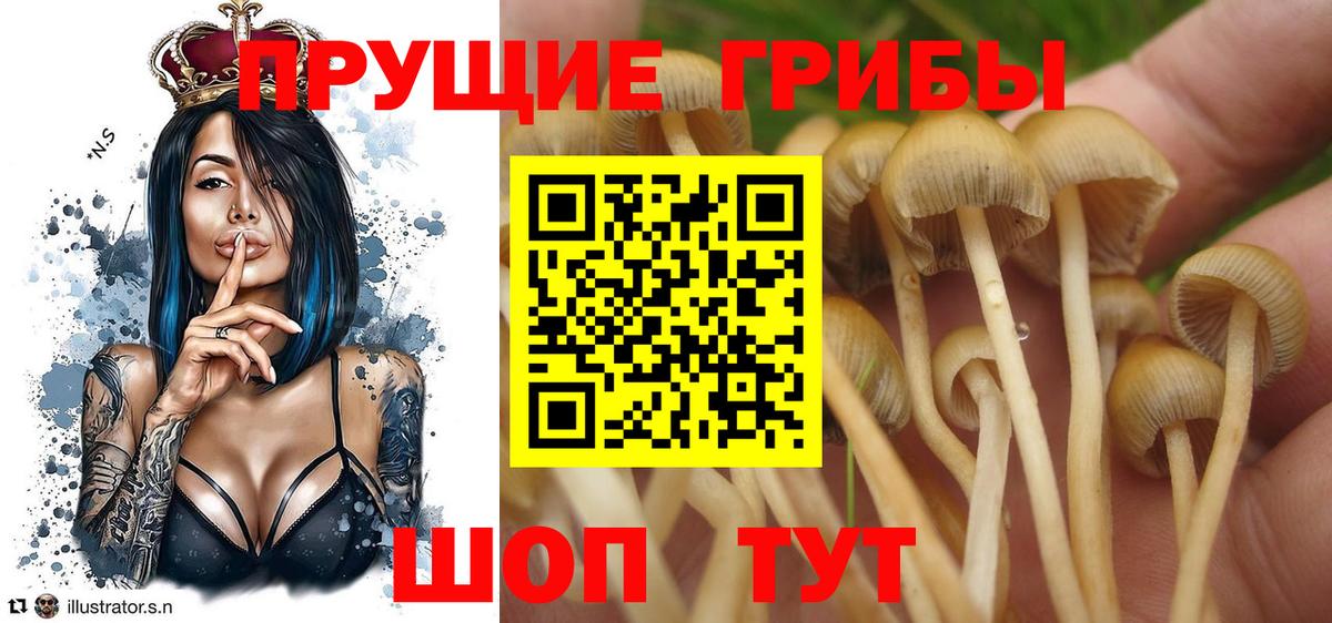 Экстази  COCAIN  МЕФ кристаллы  Гашиш  MDMA  Гусев  Амфетамин   Бошки Шишки  Вход с VPN 
