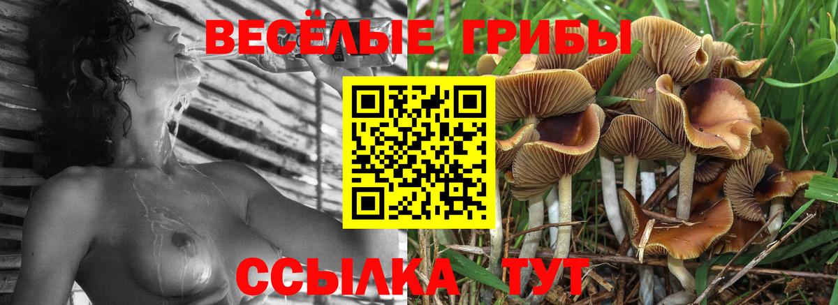 Псилоцибиновые грибы ЛСД Гусев